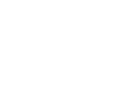 Partner Logo 4