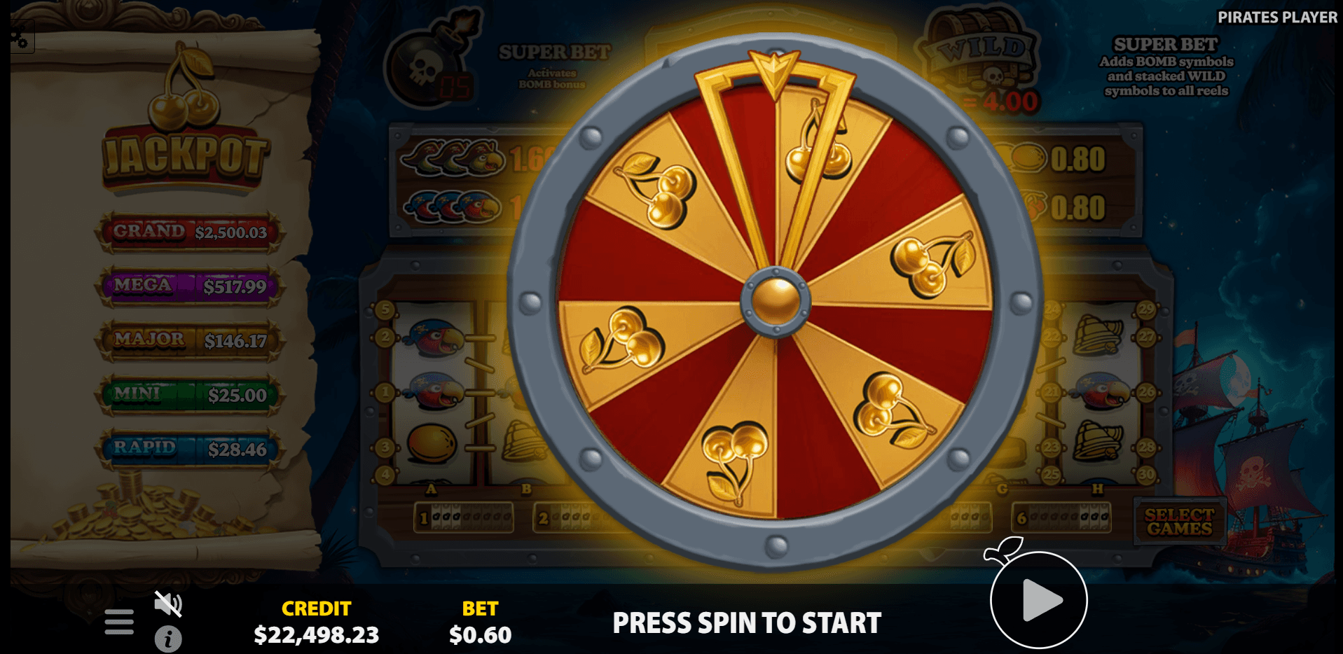 Pirates Player image 2